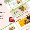 Ecotech Fresh Food Magento 2 Theme