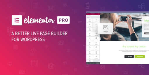 Elementor Pro 2.10.3 The Most Advanced WordPress Page Builder Plugin