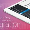 Elementor Pro Form Widget - HubSpot - Integration