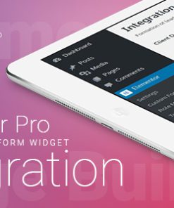 Elementor Pro Form Widget - Zoho CRM & Zoho Desk - Integration