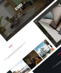 Exid - Creative Portfolio Template
