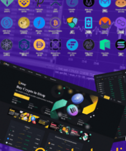 Febit Crypto trading platform