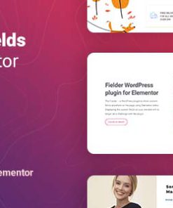 Fielder – WordPress Custom Fields for Elementor