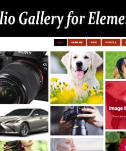 Filter Portfolio Gallery for Elementor