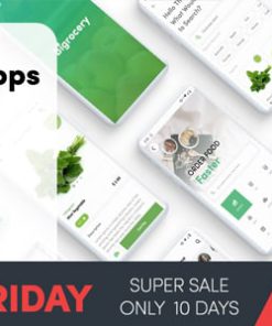 Flutter Grocery - Bigrocery in Flutter grocery app black friday