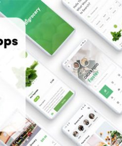 Flutter Grocery – Bigrocery in Flutter grocery app flutter template app