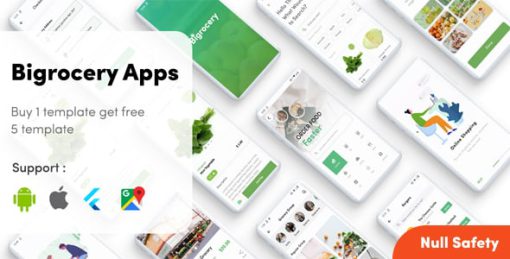 Flutter Grocery – Bigrocery in Flutter grocery app flutter template app