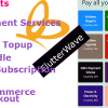 Flutterwave Payment Solutions and Bills Payment Services