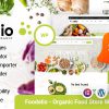 Foodelio – Organic Food Store WordPress Theme