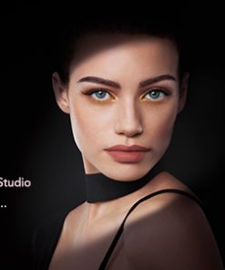 Fredia - Makeup Artist WordPress Theme