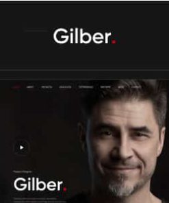 Gilber - Personal CV/Resume WordPress Theme