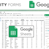 Gravity Forms Connect with Google Sheets