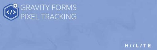 Gravity Forms Pixel Tracking