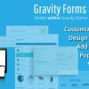 Gravity Forms Styles Pro Add-on