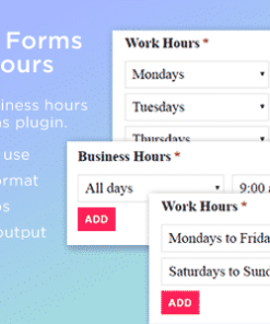 Gravity Forms Work Hours Field