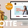 Grotte - A Dedicated WooCommerce Theme