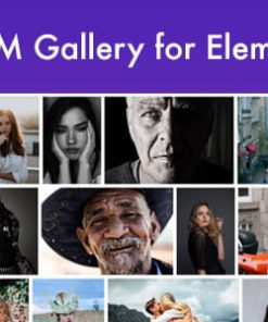 GT3 Zoom Gallery for Elementor Page Builder