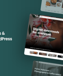 Heilz - Digital Downloads & Marketplace WordPress Theme