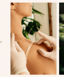 Hibiscus - Alternative Medicine and Organic Shop Theme