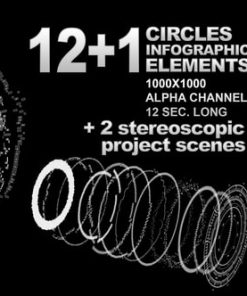 Infographic Disk Elements