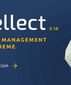 Intellect - Education WordPress Theme