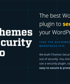 Ithemes Security Pro – The Best WordPress Security Plugin Version 6.6.4