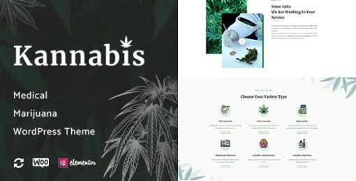 Kannabis - Medical Marijuana & Cannabis WordPress Theme