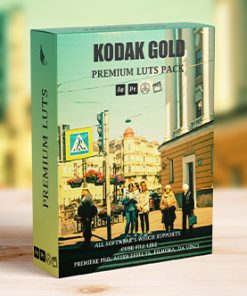 Kodak Gold Cinematic Film Travel Video Luts Presets