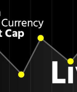 Magen Crypto Currency Realtime Live Market Cap With Multi Currencies Supported