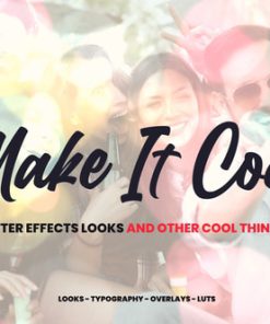 Make It Cool - 800+ Looks And Assets For After Effects