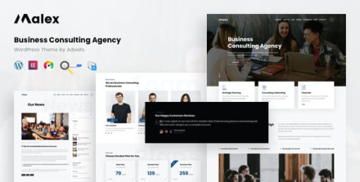 Malex - Business Consulting Agency WordPress Theme