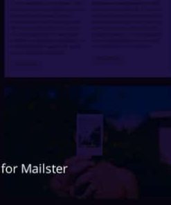 Market - Email Template for Mailster