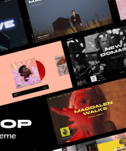 Micdrop - Music WordPress Theme