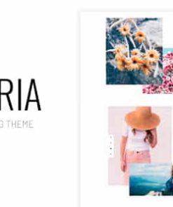 Midoria - Personal WordPress Blog Theme