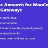 Minimum and Maximum Amounts for WooCommerce Payment Gateways