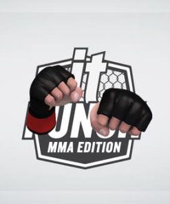 MMA Gloves (Punch It!)