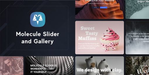 Molecule Slider and Gallery Responsive WordPress Plugin