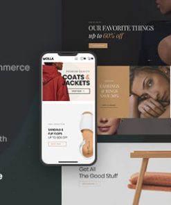 Molla | Multi-Purpose WooCommerce Theme