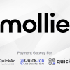 Mollie Payment Plugin For QuickQR