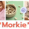 Morkie - Pet Shop and Pet Care Theme
