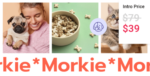 Morkie - Pet Shop and Pet Care Theme