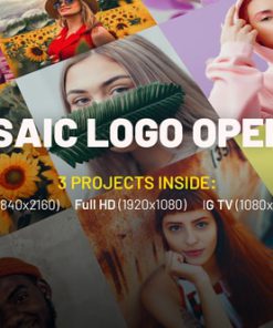 Mosaic Logo Opener