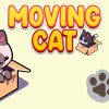 Moving Boxes Cat