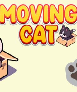 Moving Boxes Cat