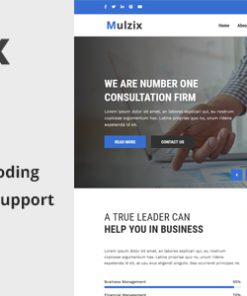 Mulzix - Multipurpose Business and Agency CMS