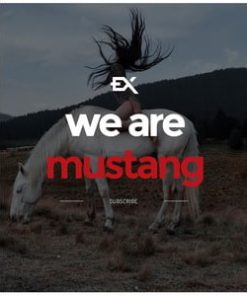 Mustang || Responsive Coming Soon Page