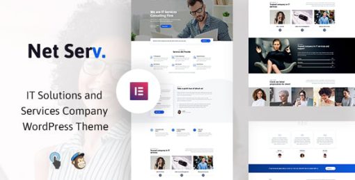 Netserv - IT Solutions and Services Company WordPress Theme