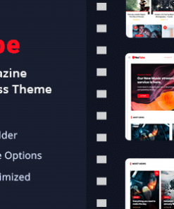 Netube - Viral Video Blog / Magazine WordPress Theme