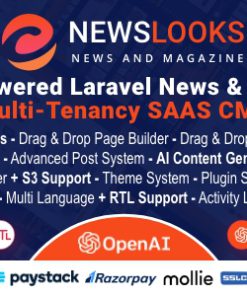 NewsLooks SAAS | OpenAI Powered News & Magazines Multi-Tenancy SAAS CMS