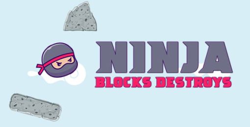 Ninja Blocks Destroys